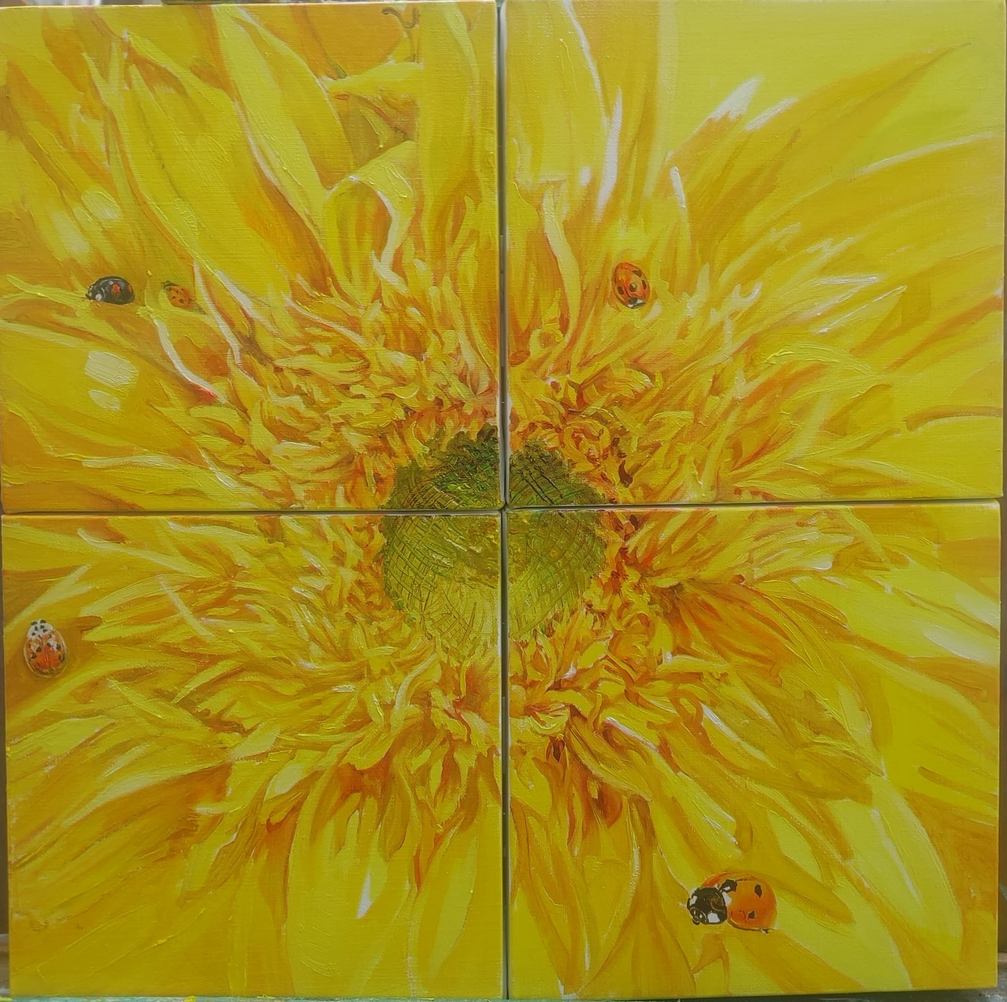 햇살의 파편 (Shards of Sunlight), 2024