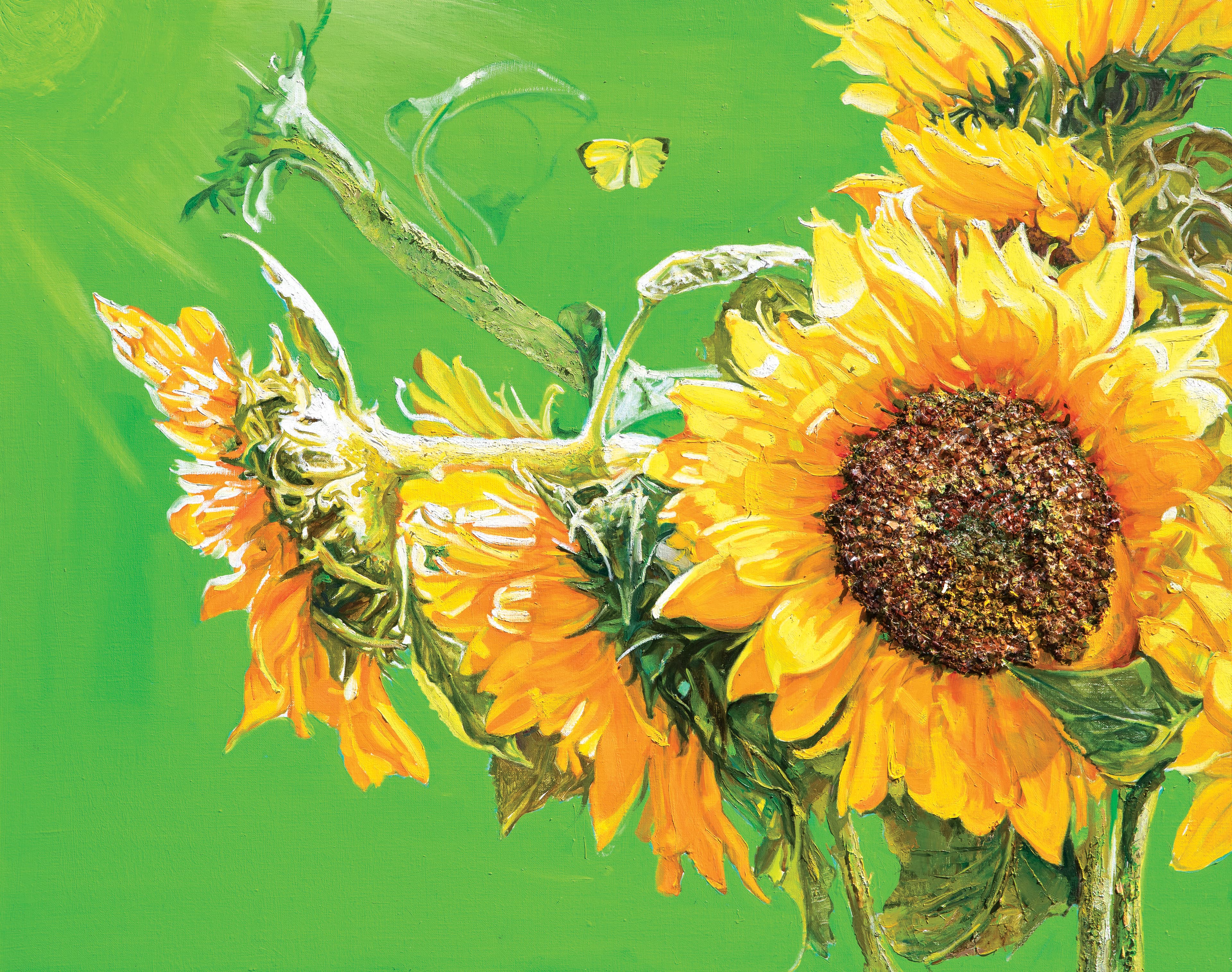 비취의 화안 (Emerald Sunbloom), 2024
