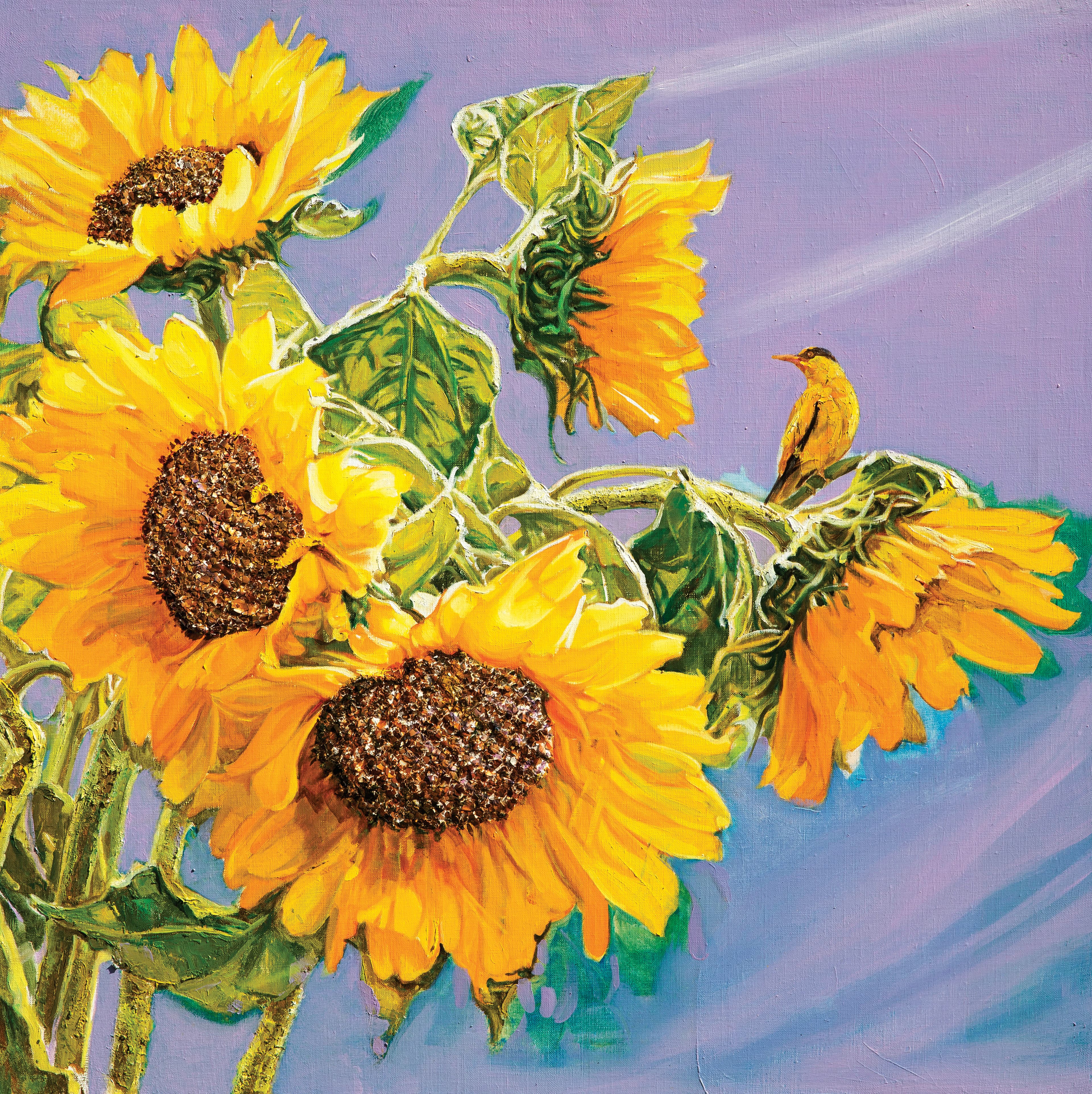 라일락의 화안 (Lilac Sunbloom), 2024